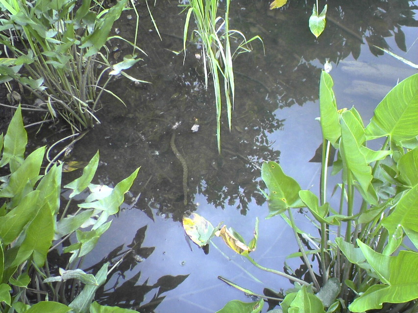 DSC02124.JPG