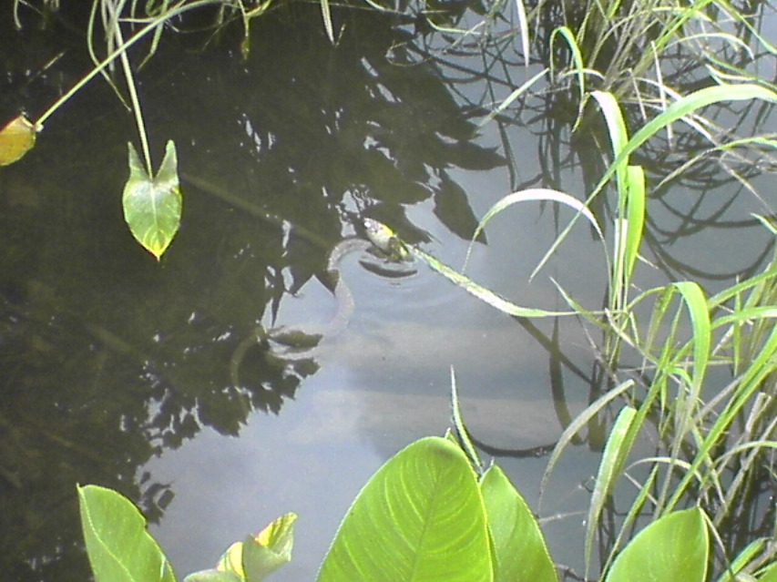 DSC02127.JPG