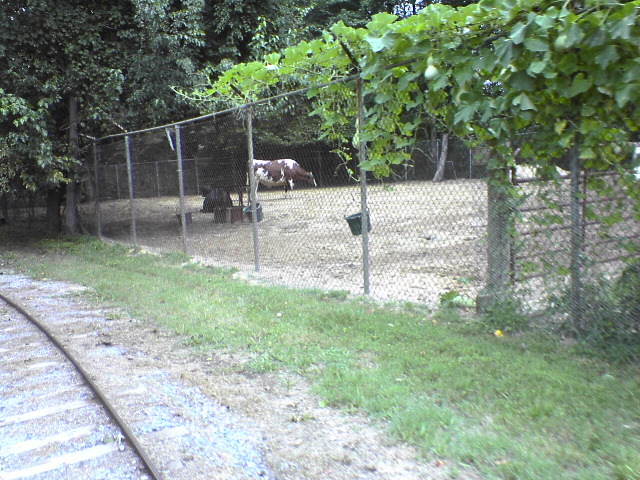 DSC03189