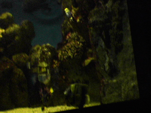 DSC03238