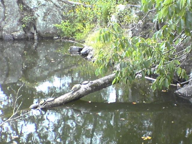 DSC03260