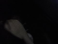 DSC03237