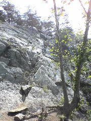 DSC03252
