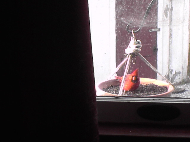 Cardinal