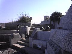 Wave Organ