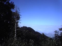 Mt. Wilson