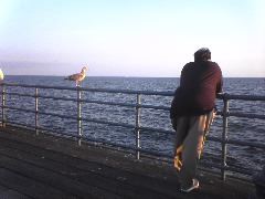 View from Boardwalk