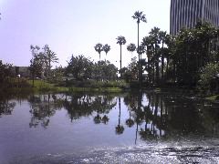 Tar Pits
