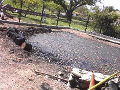 Tar Pits