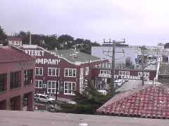View from Roof