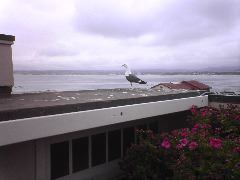 View from Roof