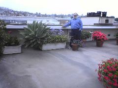 Race on Roof