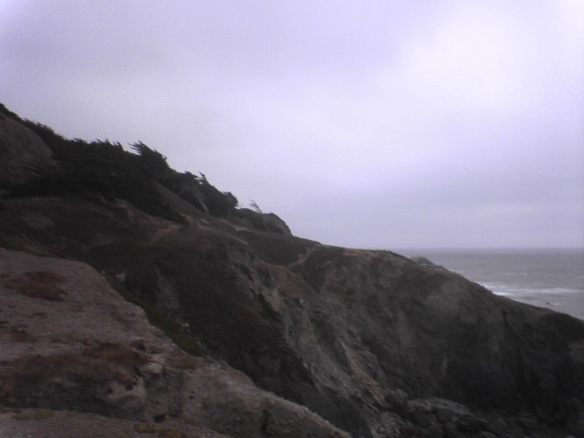 DSC01181
