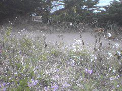 Danger Sign