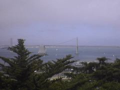 View from Coit Town