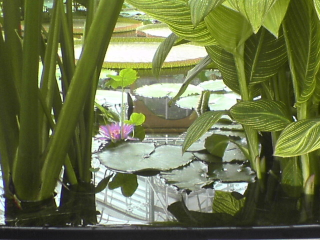 DSC01116