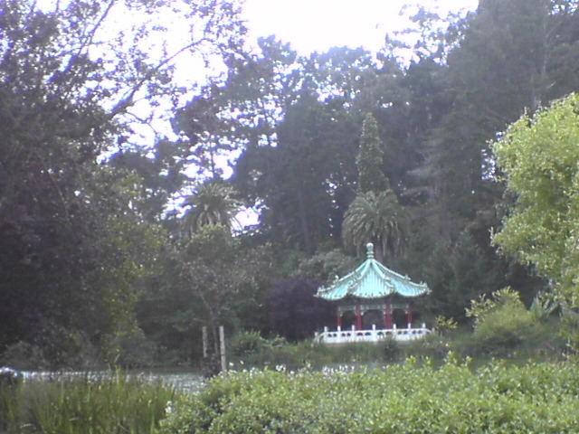 DSC01129