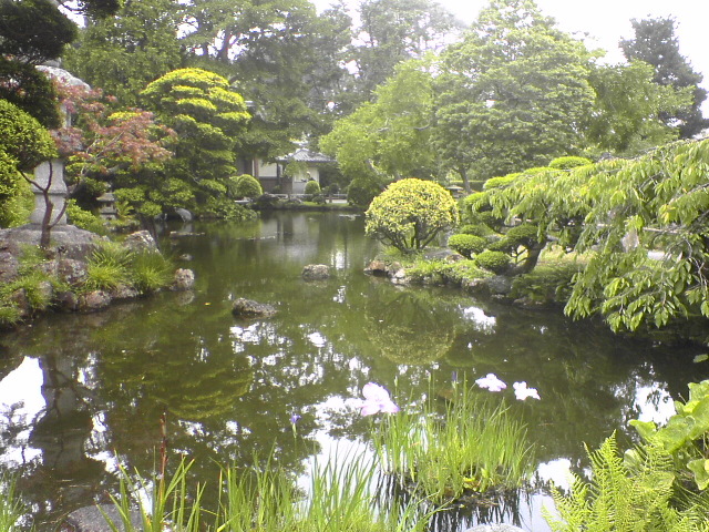 DSC01138