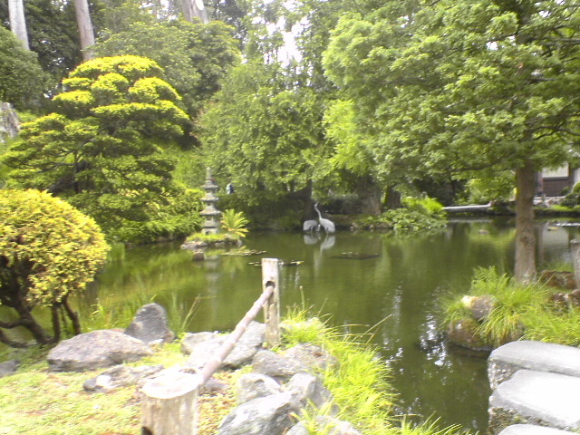 DSC01139
