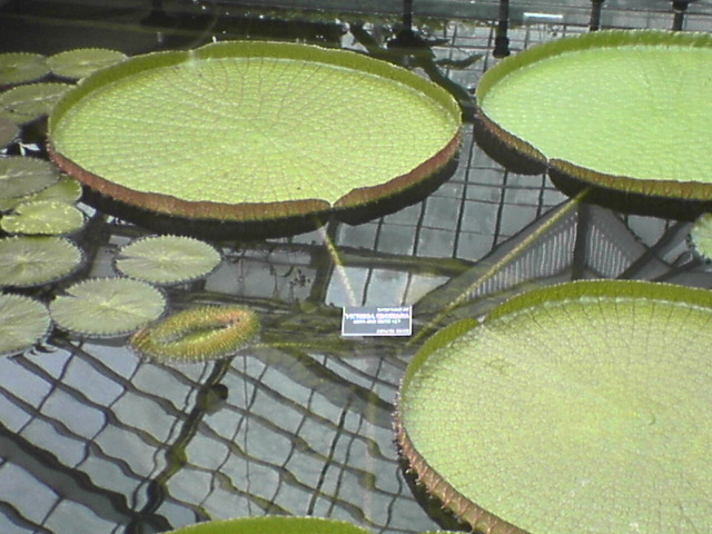 DSC01115
