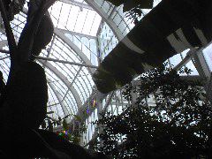 Inside Conservatory