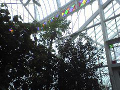 Inside Conservatory