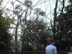 Inside Conservatory