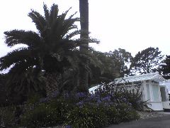 Outside of Conservatory