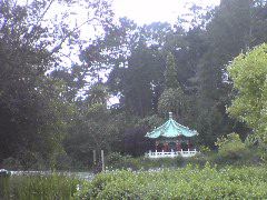 Japenese Tea Garden