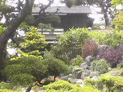 DSC01131