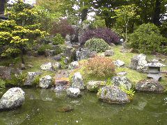 Japenese Tea Garden