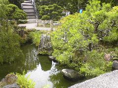 Japenese Tea Garden