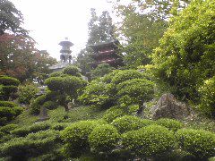 Japenese Tea Garden
