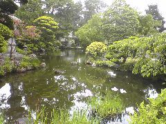 Japenese Tea Garden