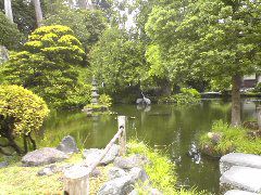 Japenese