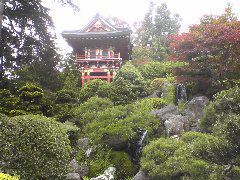 Japenese Tea Garden
