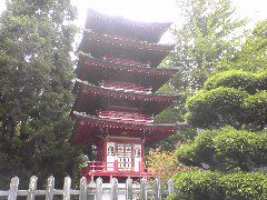 Japenese Tea Garden