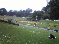 Golden Gate Park