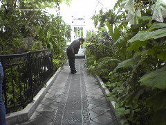 Inside Conservatory