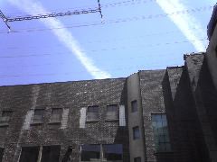 DSC00884_1