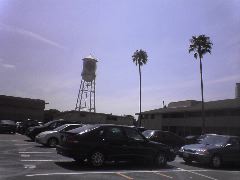 DSC00896_1