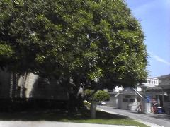DSC00873_1