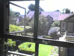DSC00958_1