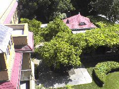 DSC00968