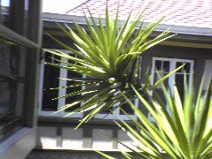 DSC00943_1
