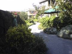 Garden path