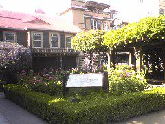 garden