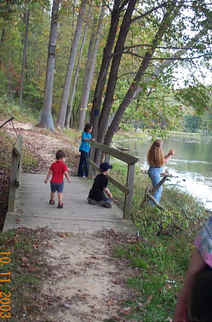 Throwing stones