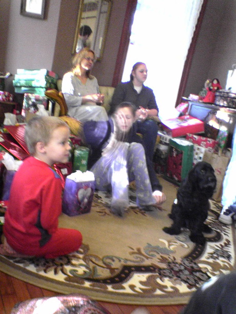 Quick move, Megan (dog-Cody)