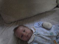 Sean